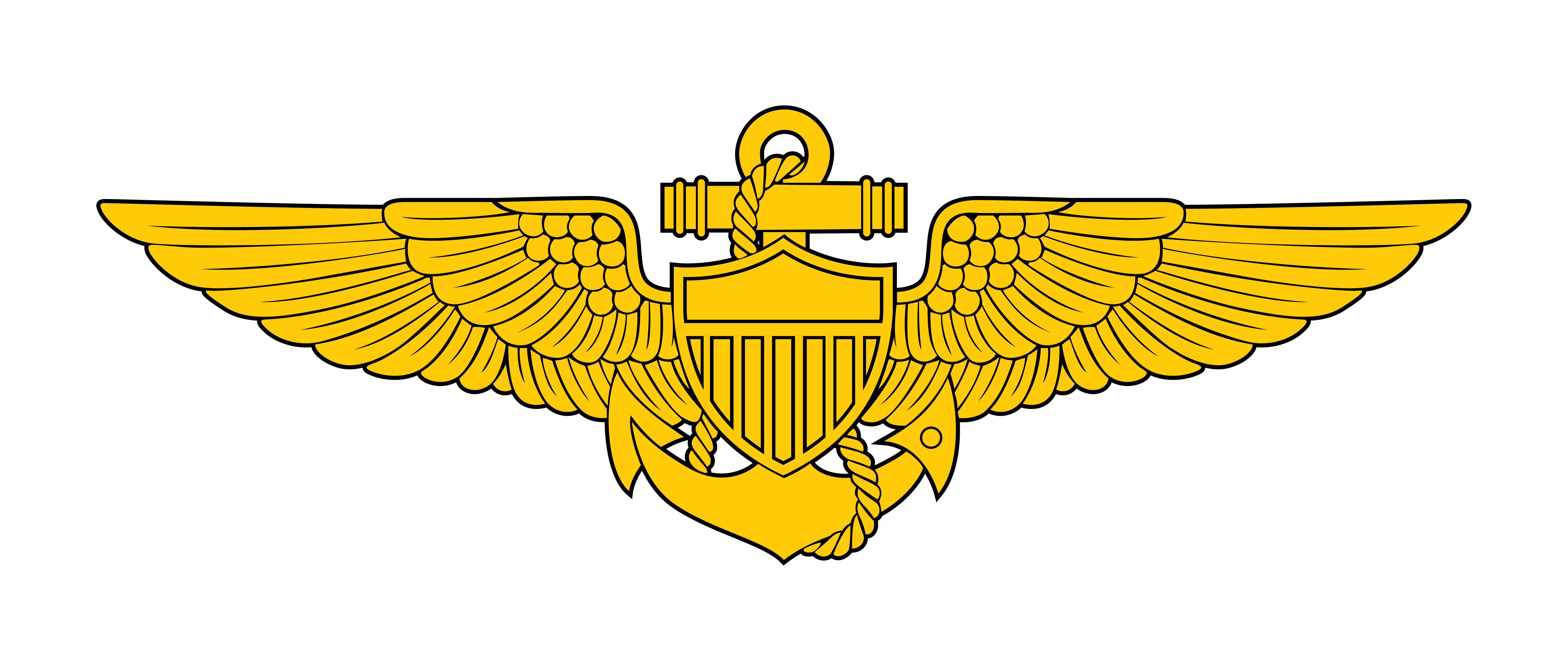 Naval Aviator Wings